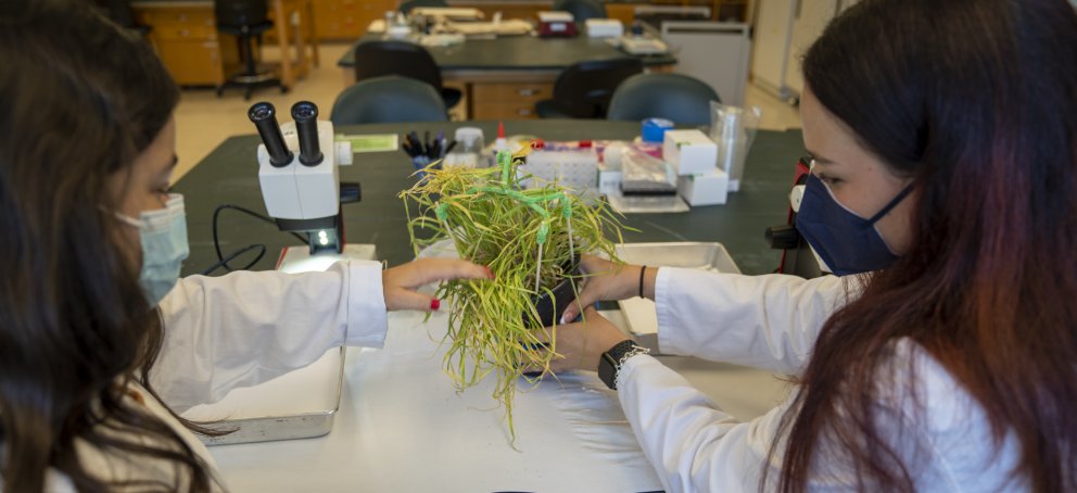 Biology Department | Saint Mary's College